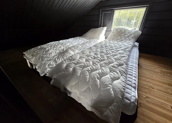 Pappilan Kartano Sauna *